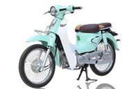 XE CUB ALLY NEW 50SE