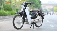 XE CUB ALLY NEW 50SE