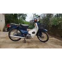 xe cup50cc