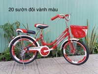 Xe đạp 20 sườn đôi vành màu (đỏ)