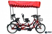 Xe đạp 4 bánh PAX-5