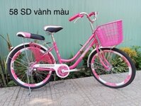 Xe đạp 58 sườn đôi vành màu (Hồng)