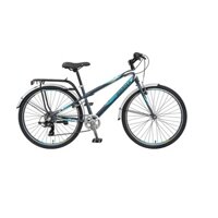 XE ĐẠP ASAMA FLOW 6 26INCH