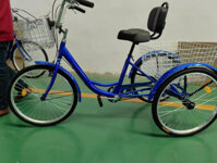 Xe đạp ba bánh cho người già BHDF02