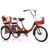 Xe đạp ba bánh cho người già HY20-20