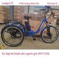 Xe đạp ba bánh trợ lực điện cho người già