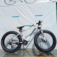 Xe đạp bánh béo Foreknow size 26