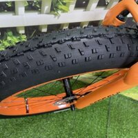 Xe đạp BÁNH BÉO hot nhất 2023 màu VÀNG CHANH