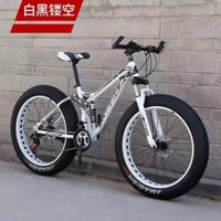 Xe đạp bánh béo - oder