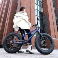 Xe đạp bánh béo - oder