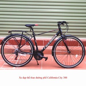 Xe đạp California City 300