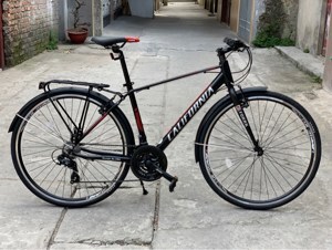 Xe đạp California City 300