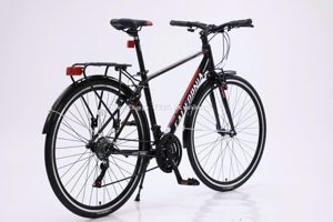 Xe đạp California City 300