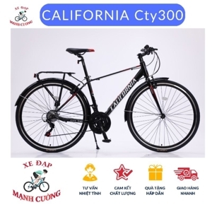 Xe đạp California City 300