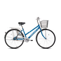 Xe Đạp Cào Cào Thống Nhất GN 06 – 24