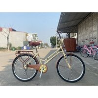 Xe đạp cao cấp Việt Nhật PURE