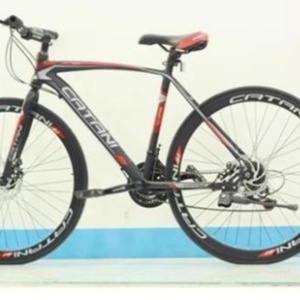 Xe đạp Catani Touring 86