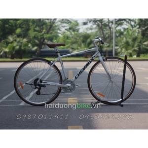 Xe đạp địa hình Chevaux DK Pro