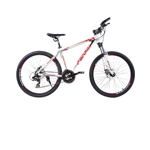 Xe đạp địa hình Fornix M300