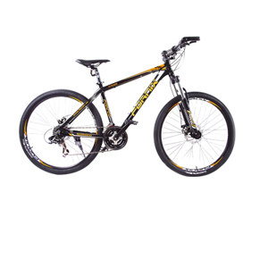 Xe đạp địa hình Fornix M300