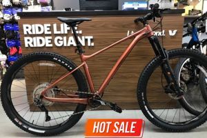 Xe đạp địa hình Giant Fathom 29 2 2022