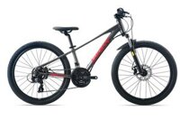 Xe đạp địa hình Giant XTC 24 D 2 Đen 2024