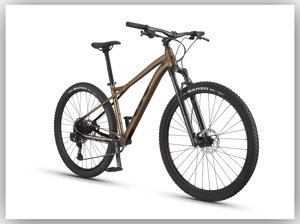 Xe đạp địa hình GT Avalanche Expert