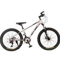 Xe đạp địa hình MSPORT SKYWAY T24M04 24 inch 24 tốc độ khung hợp kim thép 2 đĩa thắng trước sau