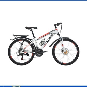 Xe đạp địa hình MTB Fascino W400 24 inch