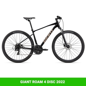 Xe đạp địa hình Mtb Giant Roam 4 Disc