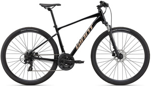 Xe đạp địa hình thể thao Giant Roam 4 Disc 2022