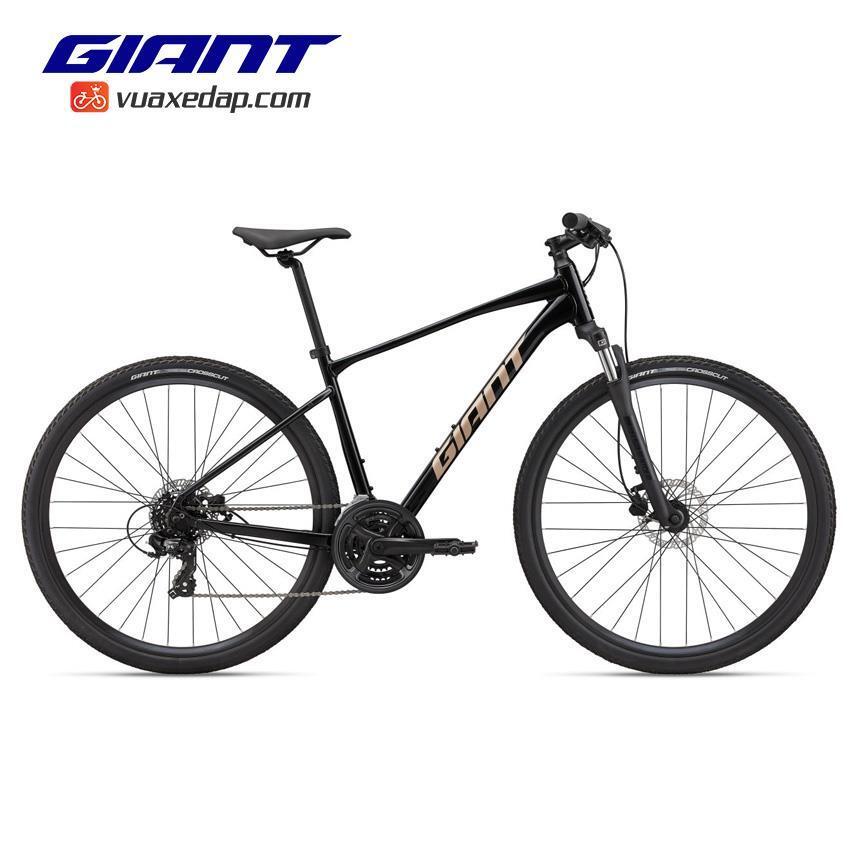 Xe đạp địa hình thể thao Giant Roam 4 Disc 2022