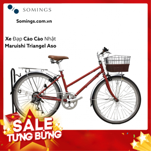 Xe đạp địa hình thể thao Maruishi ASO