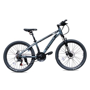 Xe đạp địa hình thể thao Trinx MTB TX04 Disc 2021