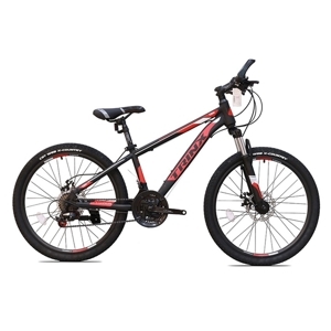 Xe đạp địa hình thể thao Trinx MTB TX04 Disc 2021