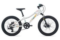 Xe đạp địa hình trẻ em Liv Cate 20 D bản 2023