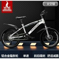 Xe đạp địa hình trẻ em xe đạp thể thao Phượng hoàngcho bé trai bé gái học sinh 5 7 10 15 tuổi