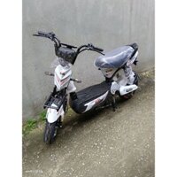 Xe Đạp Điện 133 20a cao cấp
