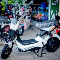 Xe Đạp Điện 133 Chạy P.in BH 1 Năm Có Trả Góp