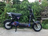 Xe Đạp Điện 133 Fantasy Katana Japan 2021