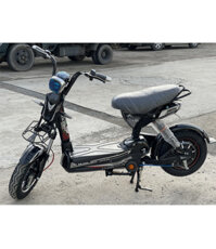 Xe Đạp Điện 133 M10 2022