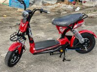 Xe Đạp Điện 133 M10 Japan 2023