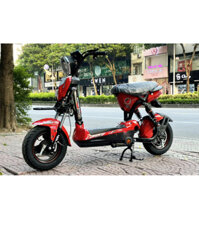 Xe Đạp Điện 133 New Sky 2022