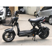 xe đạp điện 133 Pro nguyên bản, zin đẹ và ngon nghẻ
