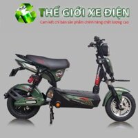 Xe đạp điện 133S bảo hành pin LFP 3 năm lỗi 1 đổi 1