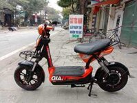 Xe Đạp Điện 133S Cũ