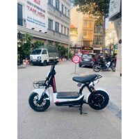 Xe đạp điện 133s thông tin không chín tám năm tám hai hai sáu ba ba nhập khẩu nguyên chiếc đã qua sử dụng còn dùng tốt