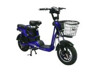 Xe Đạp Điện 16 Inch Action AC 10-300