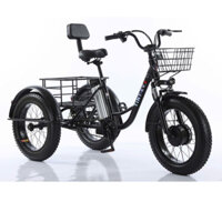 Xe đạp điện 3 bánh cho người lớn tuổi D3B 01