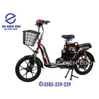 Xe đạp điện Action 06 Chính hãng, Đầy đủ phụ kiện, bình điện, sạc điện Tặng nón bảo hiểm Bảo hành 24 tháng